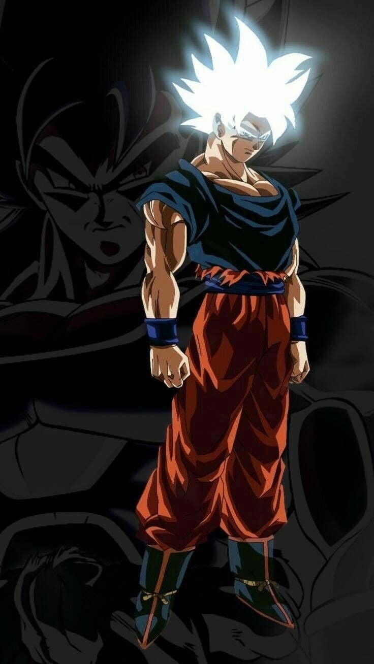 740x1310 Dragon Ball Wallpaper 4k iPhone, Phone