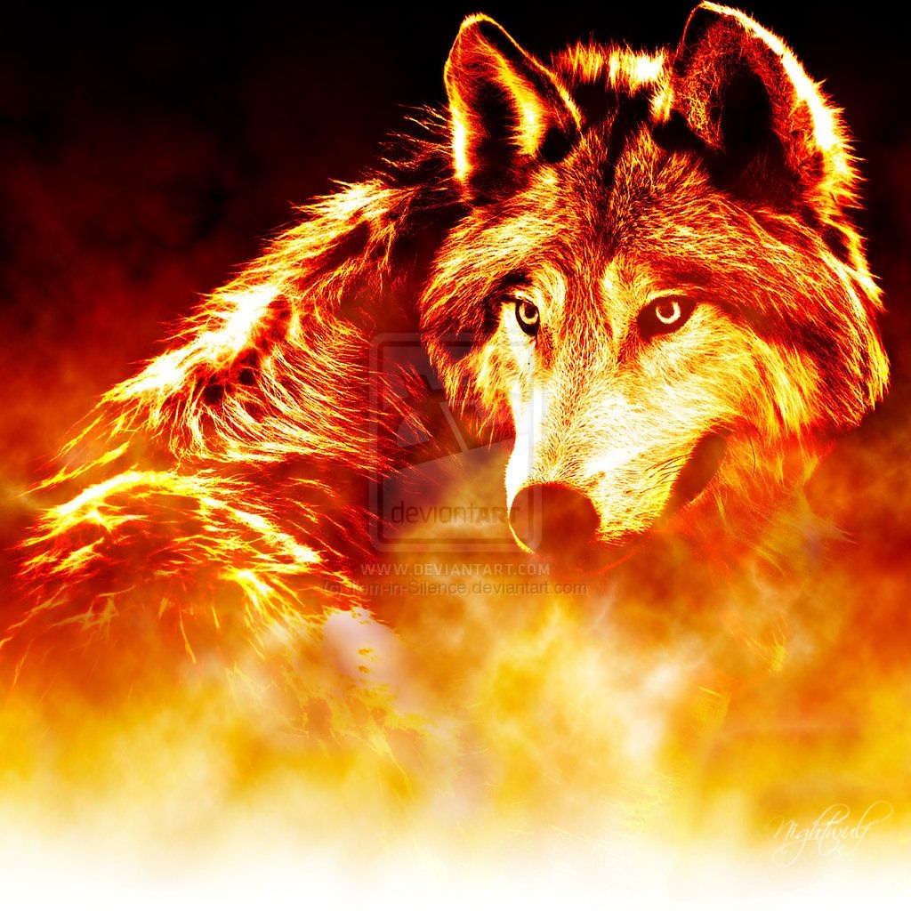 1030x1030 Fire Wolves Wallpaper, Phone