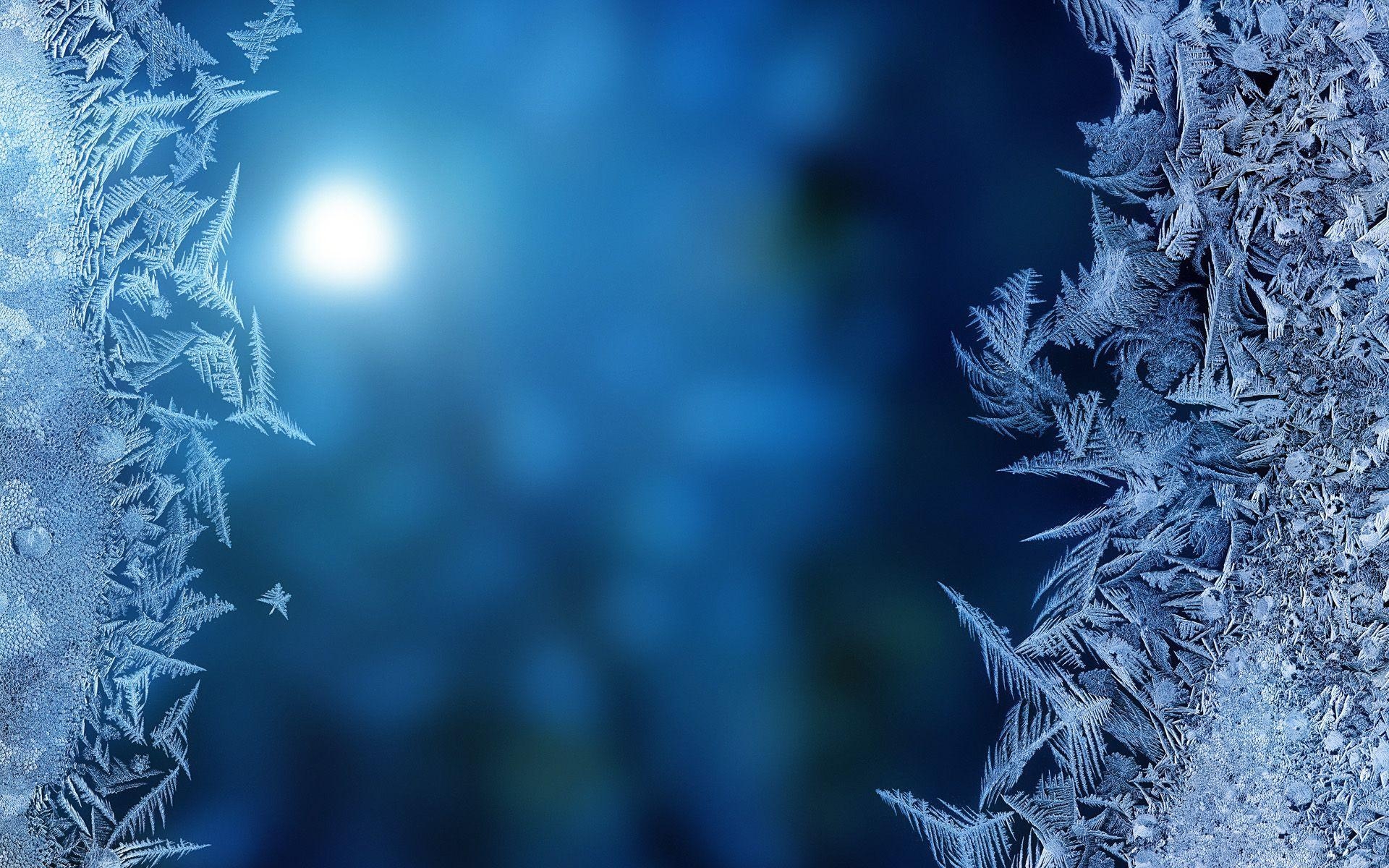 1920x1200 frozen wallpaper 19578. Pines que nos gustan. Winter, Desktop