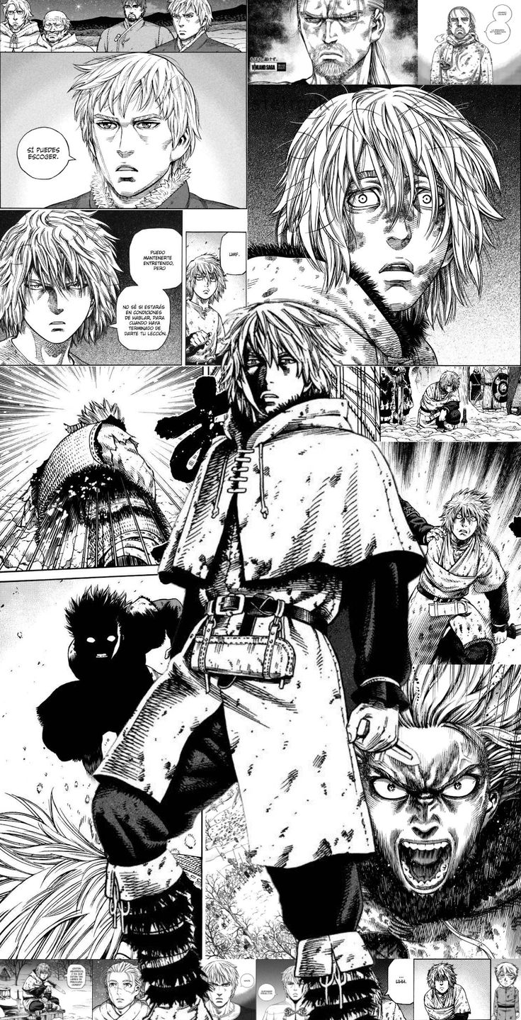 740x1440 thorfinn, Phone