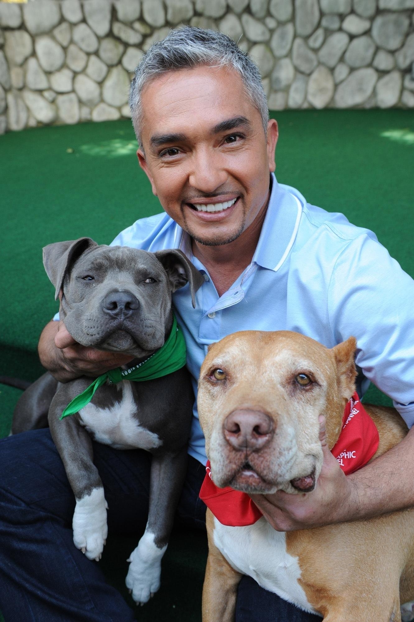 1340x2000 Cesar Millan image Cesar HD wallpaper and background photo, Phone