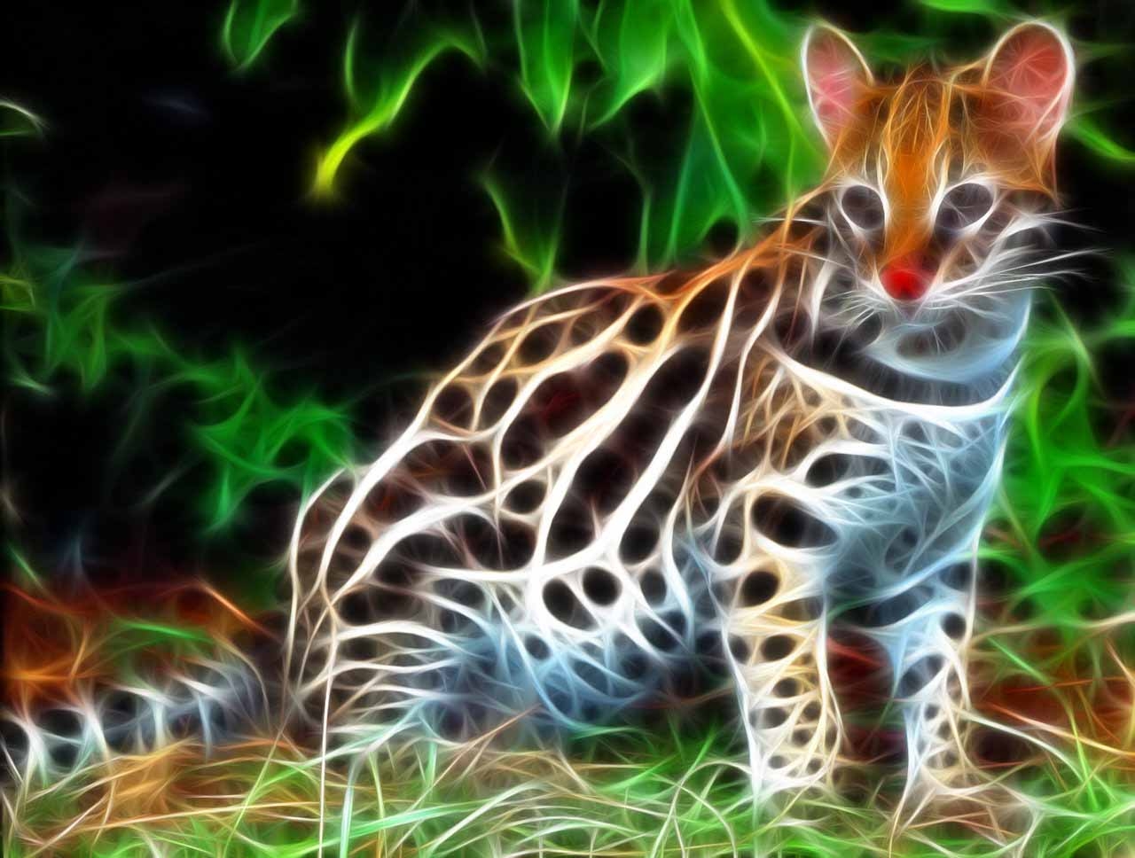 1280x970 Ocelot Wallpaper8, Desktop