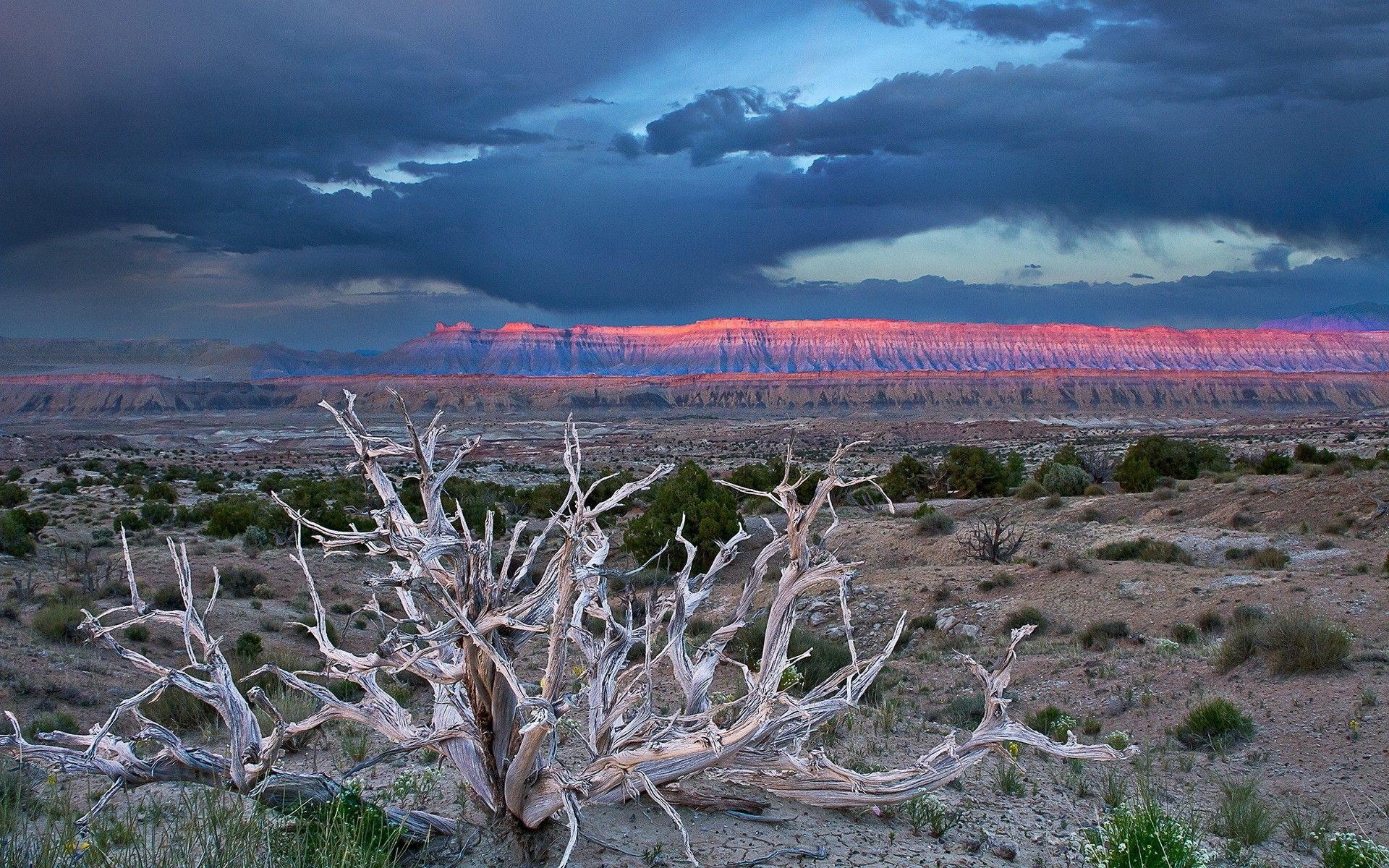 1920x1200 Daily Wallpaper: Capitol Reef National Park. I Like To Waste My Time, Desktop