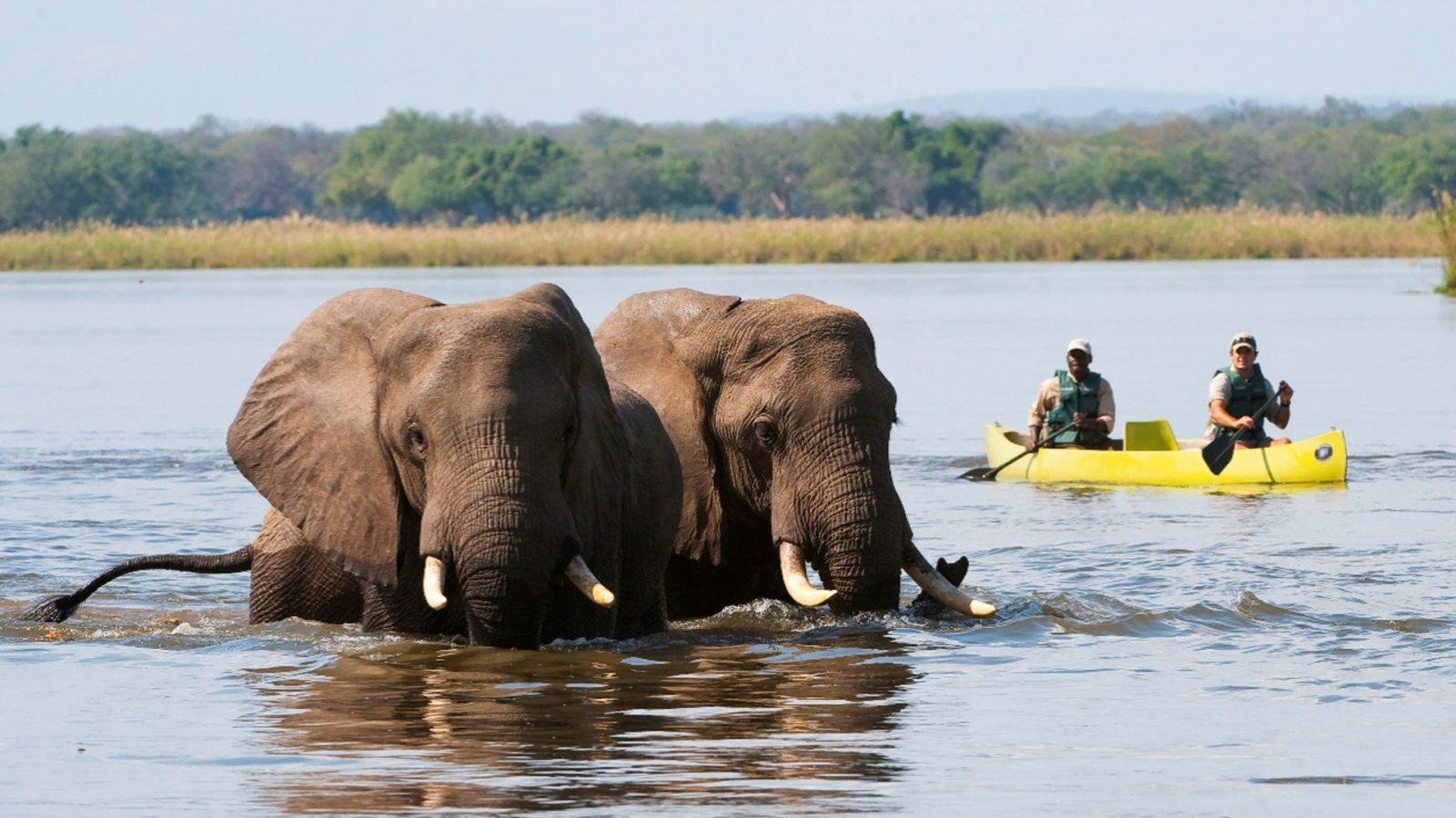 1600x900 Lower Zambezi National Park and Lodges, Desktop