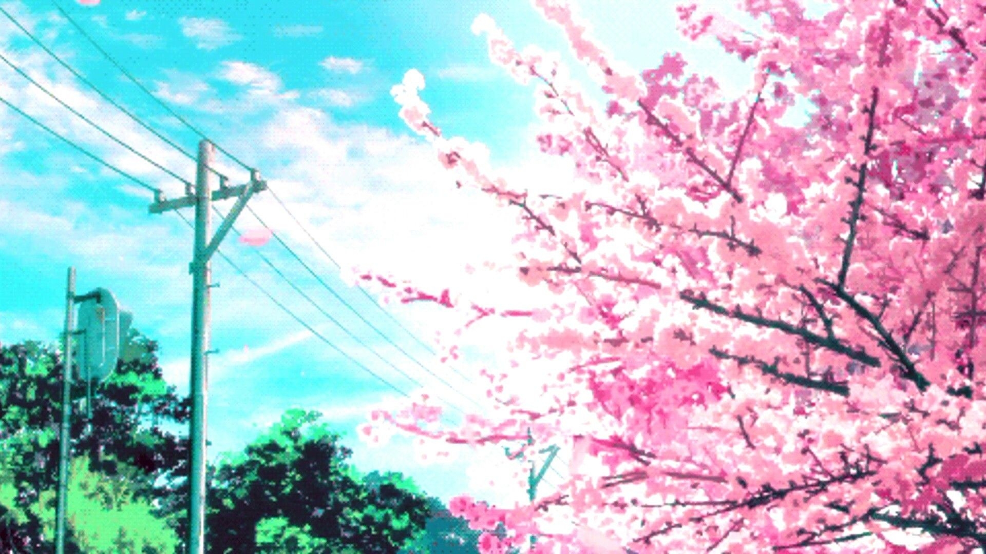 1920x1080 Cherry Blossom Anime Background, Desktop