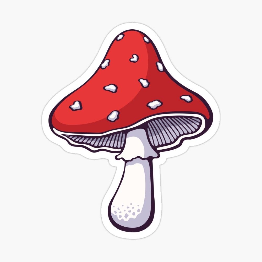 1000x1000 Amanita muscaria mushroom Sticker by Pisarovsky. Mushroom drawing, Cute stickers, Sticker art, Phone