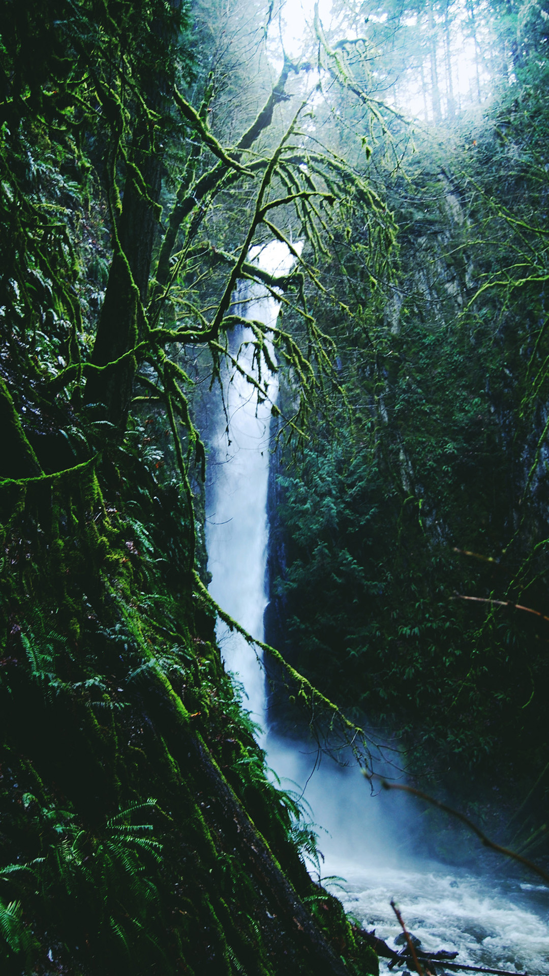 1080x1920 The iPhone Wallpaper Rainforest waterfall, Phone