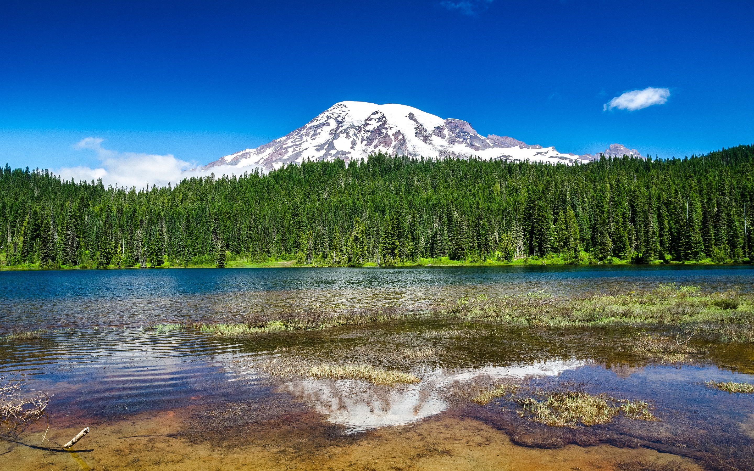 2880x1800 Mount rainier national park, Desktop