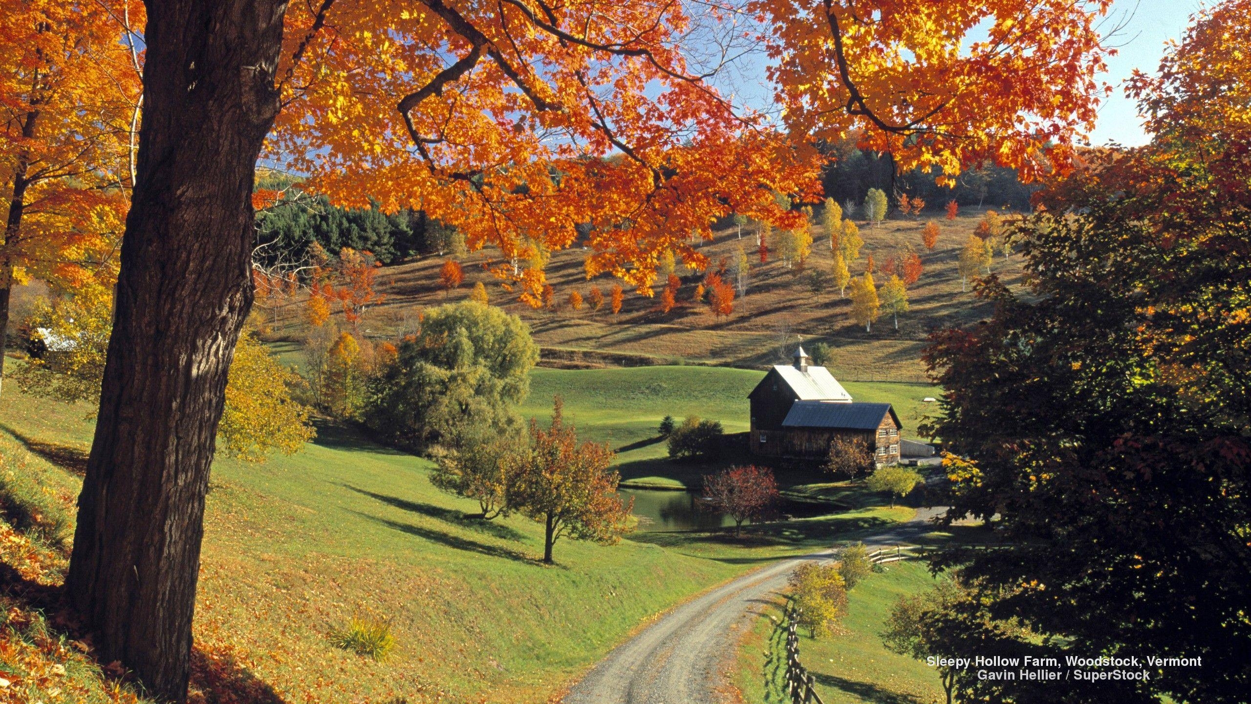 2560x1440 Fields: Landscapes Landscape Vermont Trees Mountains Roads Nature, Desktop