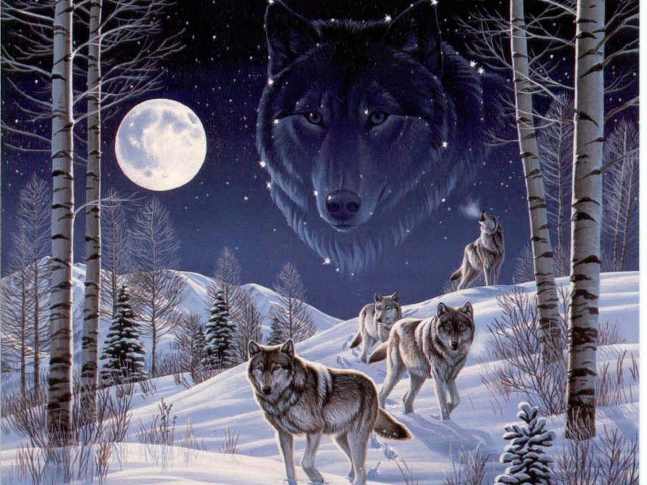 1280x960 Other Leader Alpha Wolf Canine Spirit Male Wolves HD Animals, Desktop