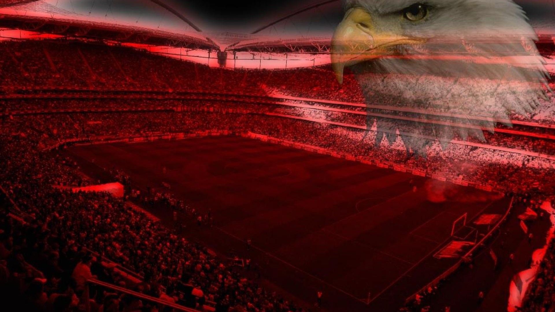 1920x1080 Luz SL Benfica Wallpaperdesktopimages.org, Desktop