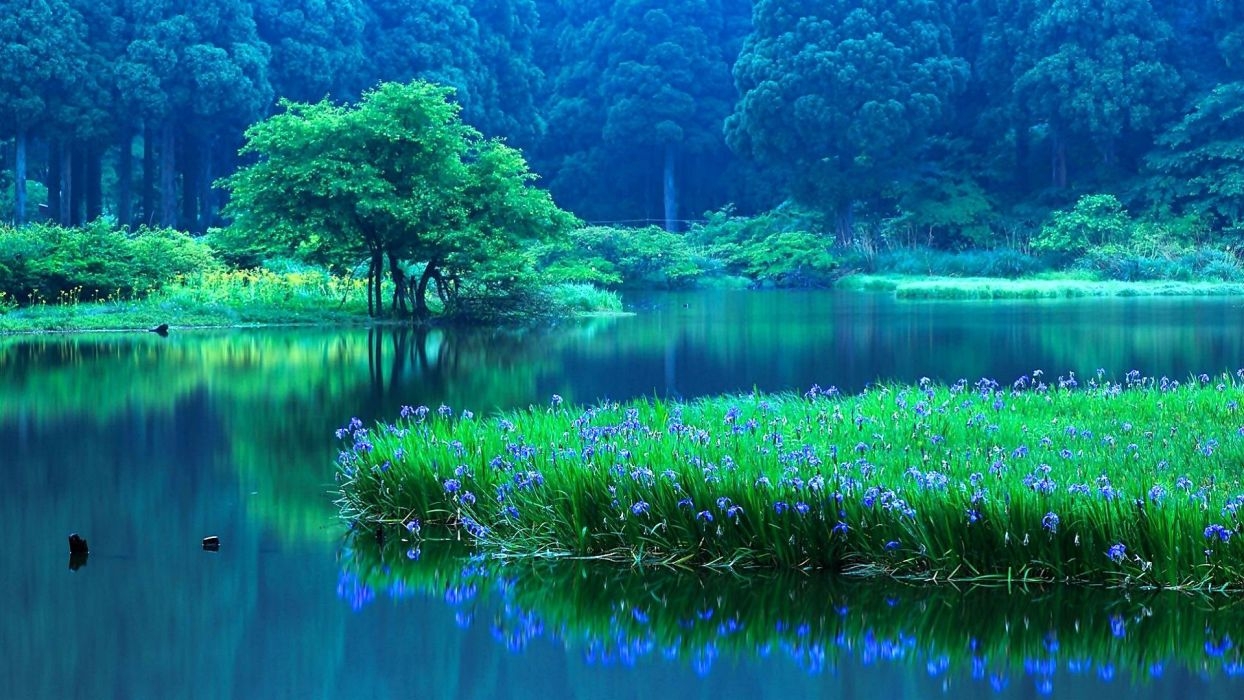 1250x700 Nature Water Wallpaper HD, Desktop