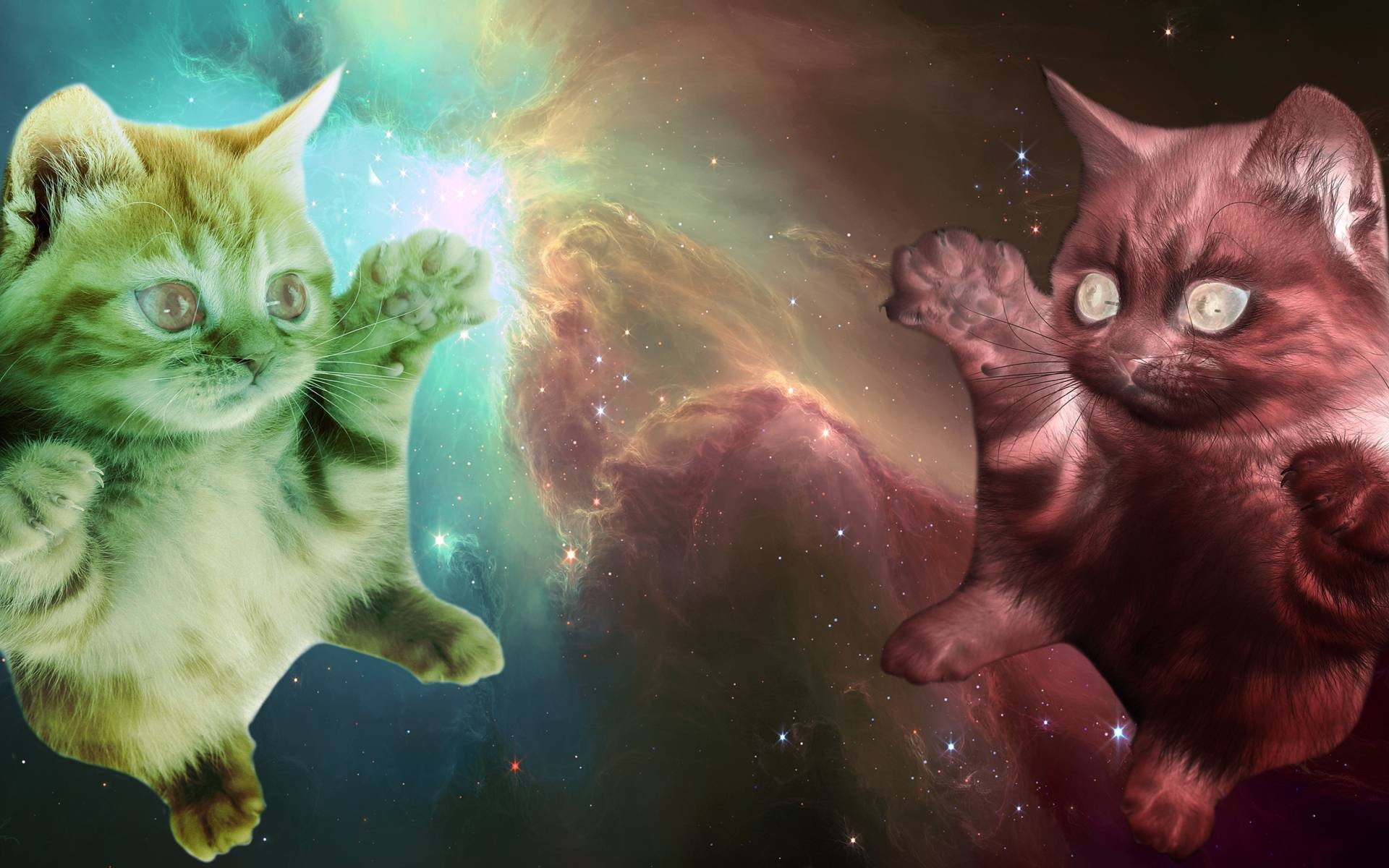 1920x1200 Free download Space Laser Cat Wallpaper Space cats [] for your Desktop, Mobile & Tablet. Explore Space Cat Wallpaper. Space Cats HD Wallpaper, HD Outer Space Wallpaper, Space Kitty Wallpaper, Desktop