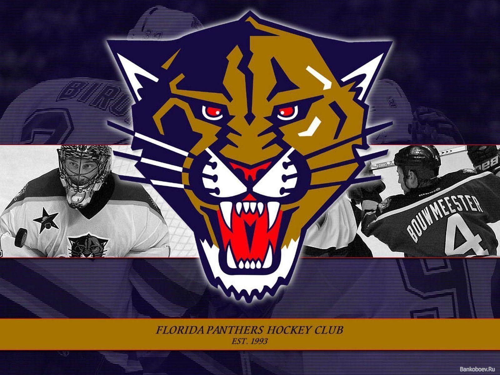 1600x1200 Stunning Wallpaper: Florida Panthers Wallpaper, Amazing Florida, Desktop