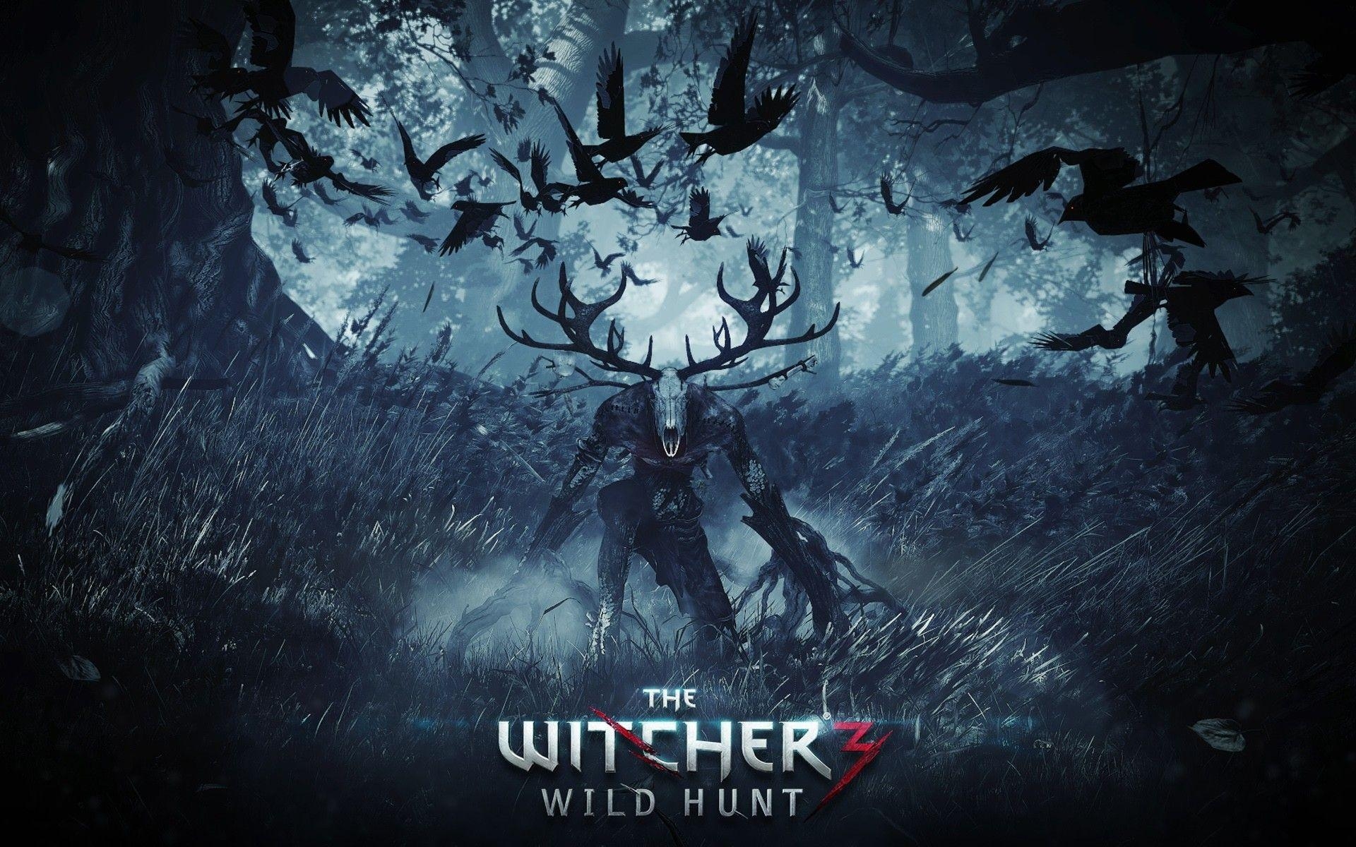 1920x1200 the witcher 3 wallpaper, Desktop