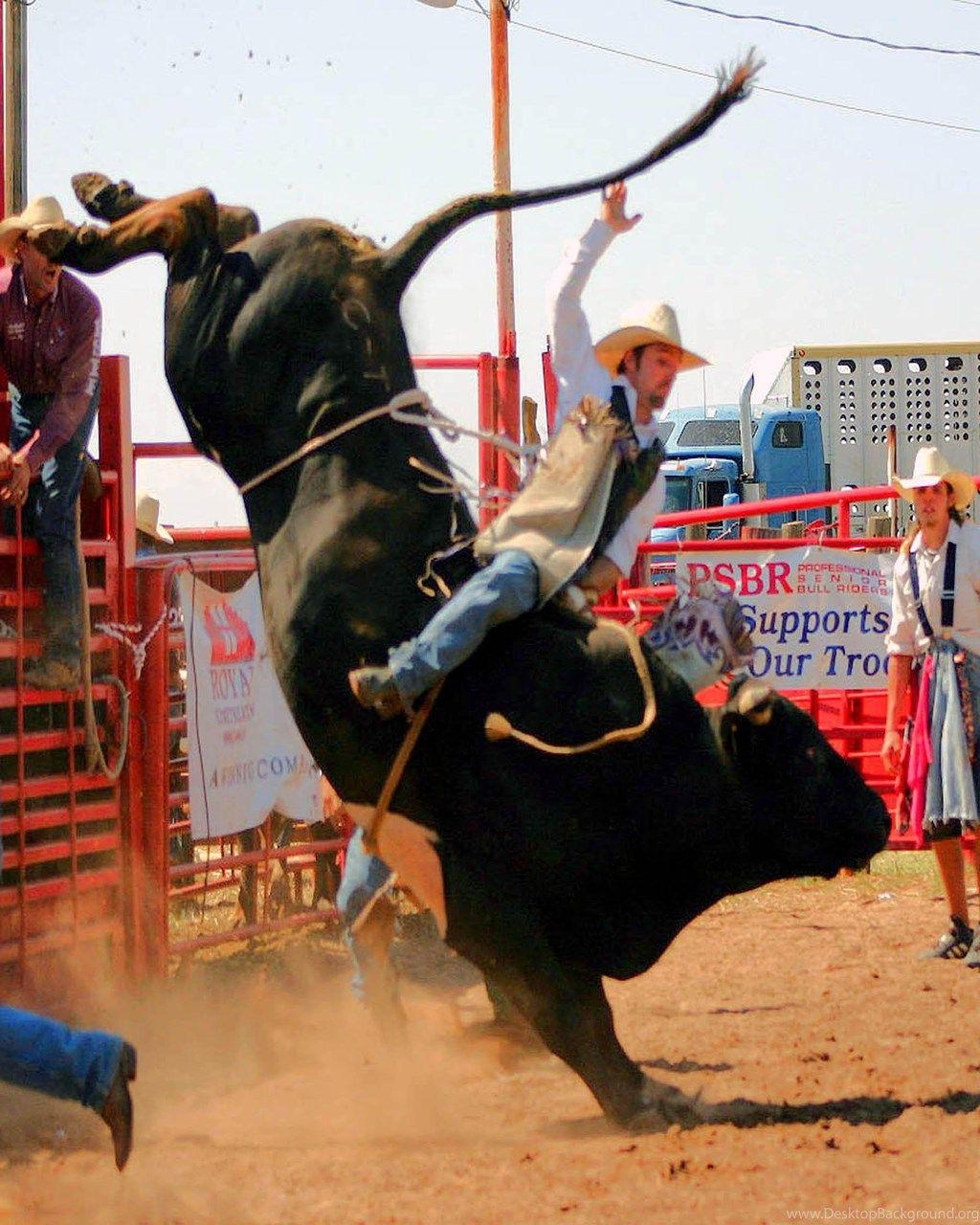 1030x1280 Cool Bull Riding Wallpaper Image Picture Becuo Desktop Background, Phone