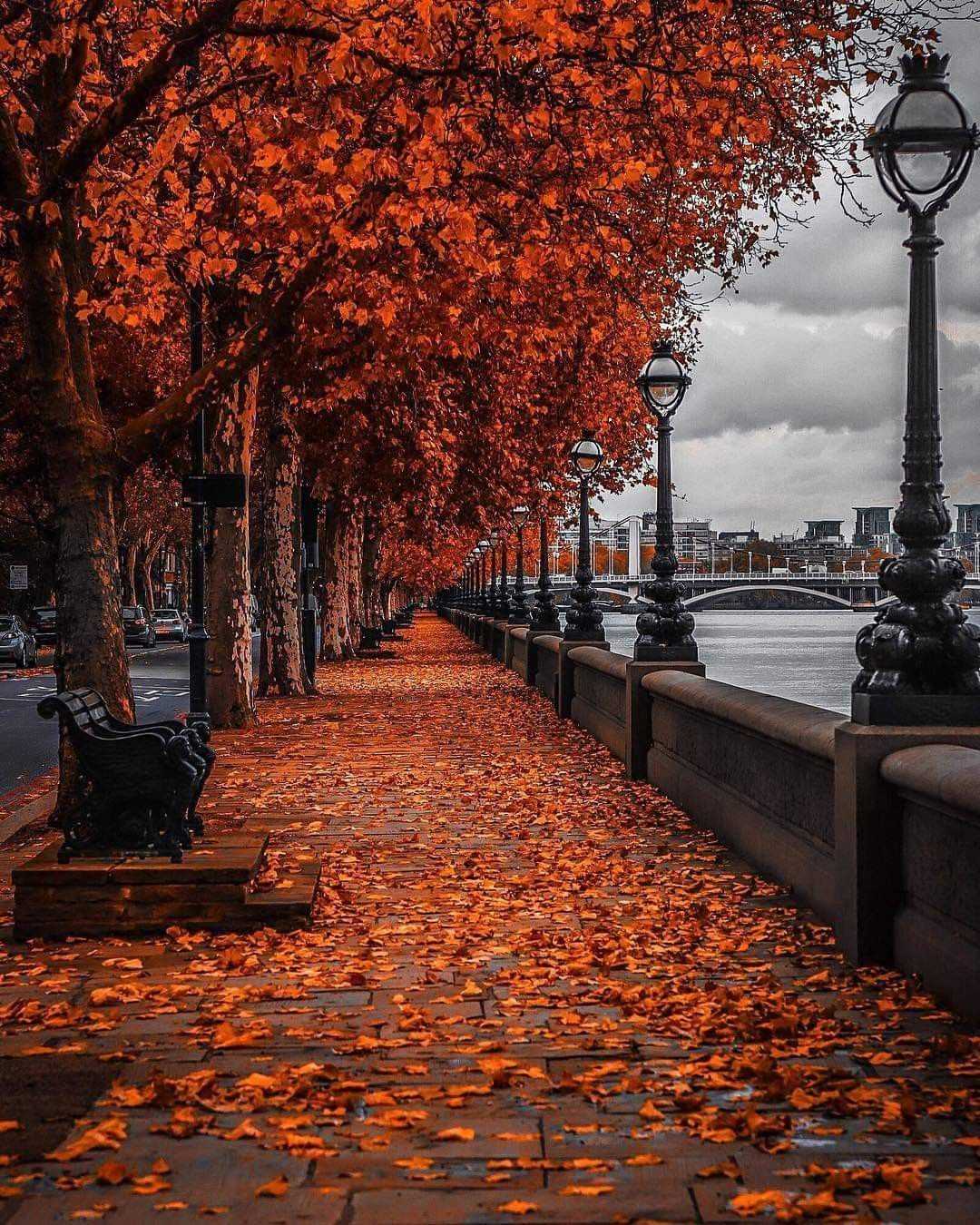 1080x1350 London in Autumn Wallpaper Free London in Autumn Background, Phone