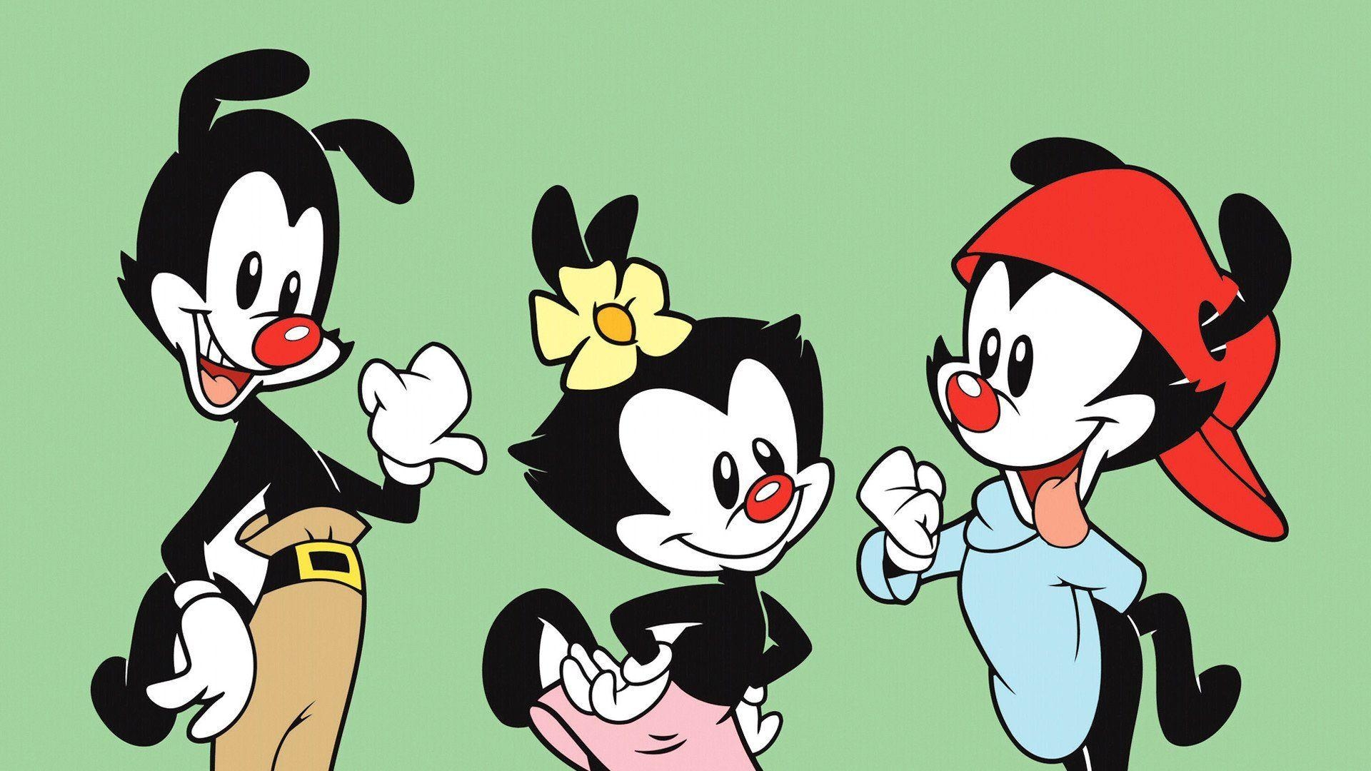 1920x1080 animaniacs wallpaper, Desktop