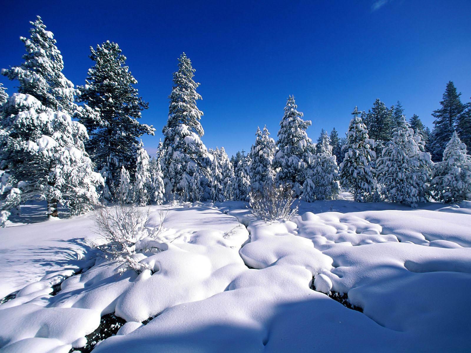 1600x1200 snowfall wallpaper 7 - Image And Wallpaper free to download, Desktop