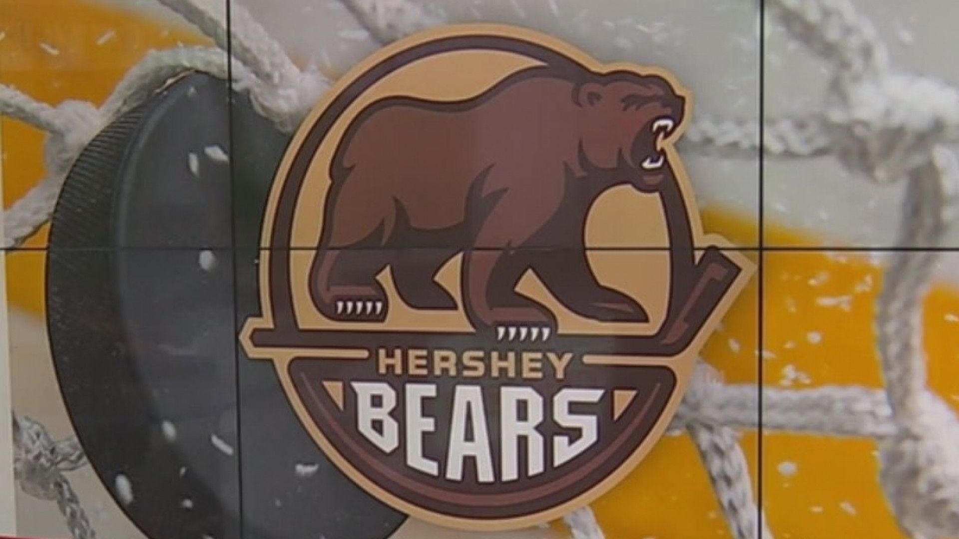 1920x1080 Hershey Bears Lose Opener To Wilkes Barre, Desktop