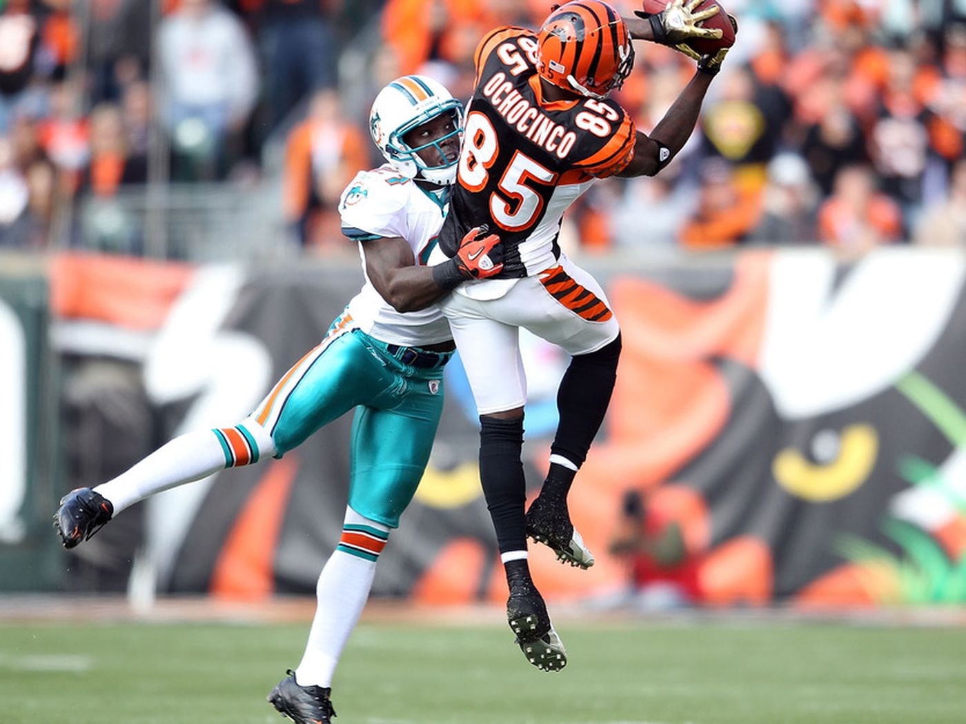 1400x1050 Is Chad Ochocinco a Good Fit for the Carolina Panthers? Scratch Reader, Desktop