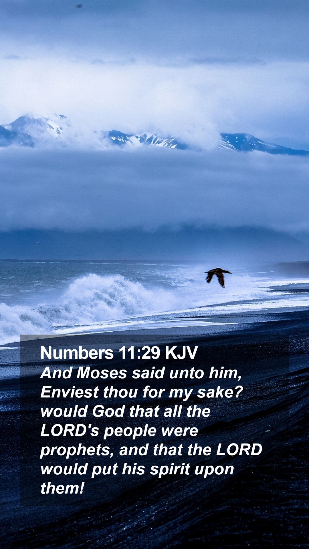 1080x1920 Numbers 11:29 KJV Mobile Phone Wallpaper Moses said unto him, Enviest thou for my, Phone