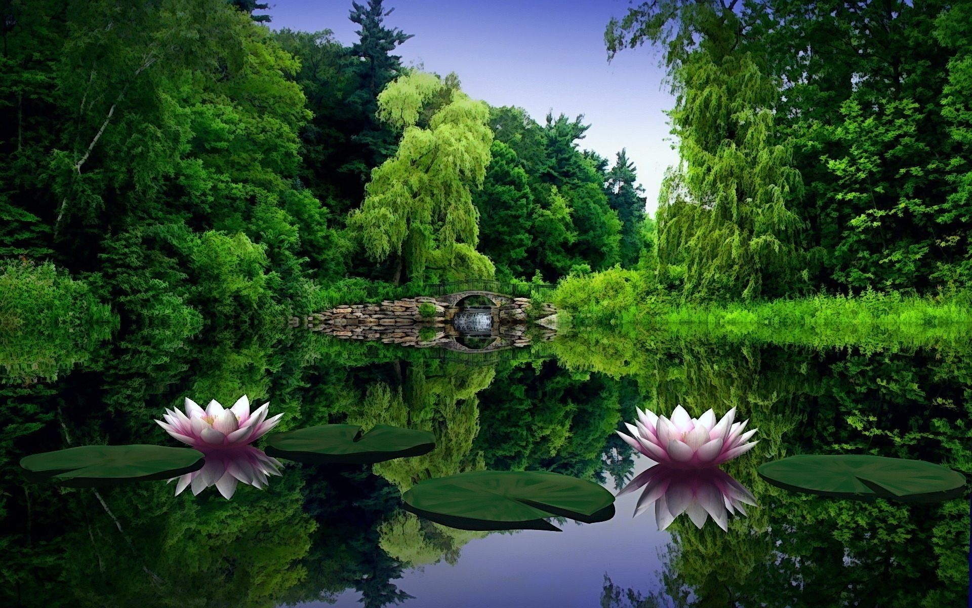 1920x1200 Lotus Flower S HD wallpaper, Desktop