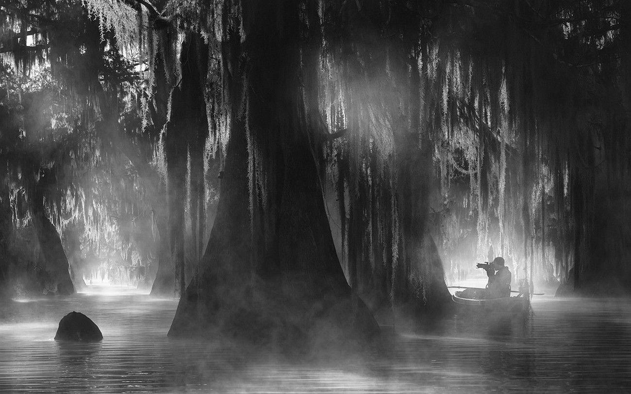 1300x820 nature, Landscape, Cypress, Trees, Mist, Atmosphere, Photographers, Desktop