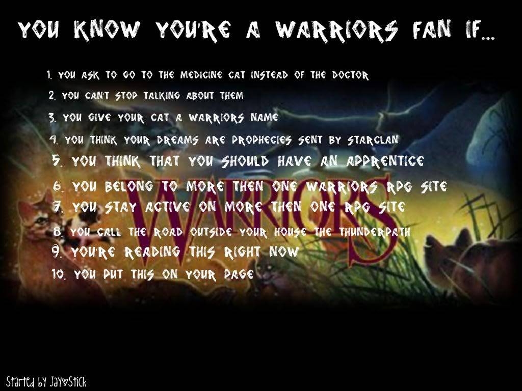 1030x770 Warrior cats of the clans image This is awedome, dude!!! LOOK AT, Desktop