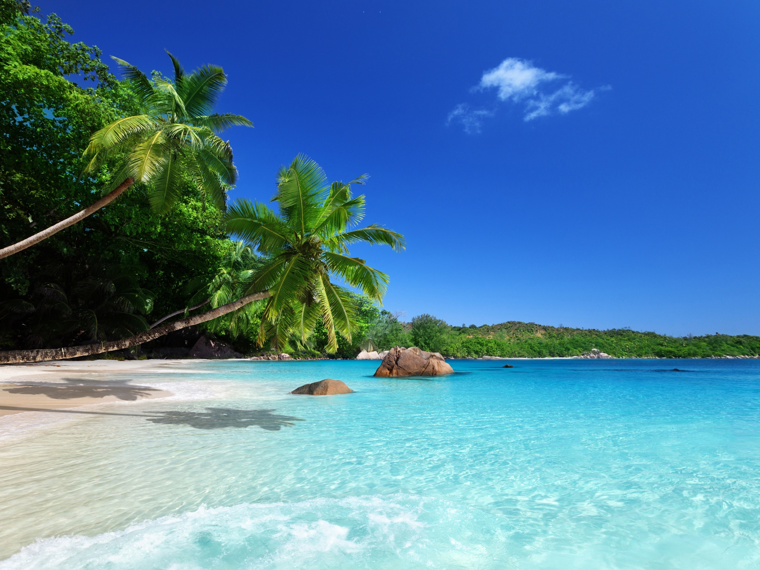 2560x1920 Wallpaper Tropical paradise, sunshine, beach, coast, sea, palm trees, Desktop