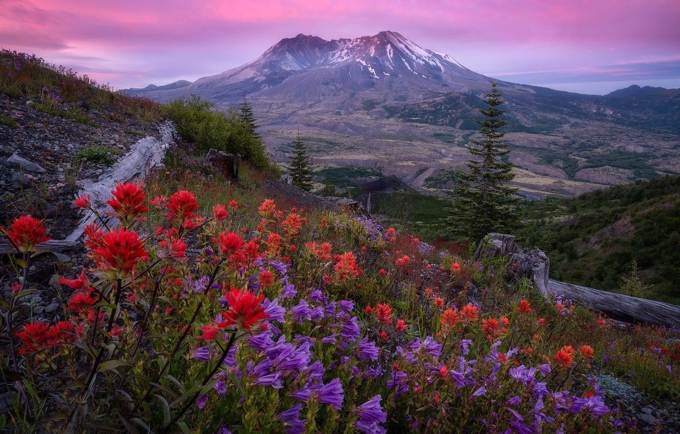 1340x850 Wallpaper flowers, mountain, Cascade Range, bells, slope, Skamania, Desktop