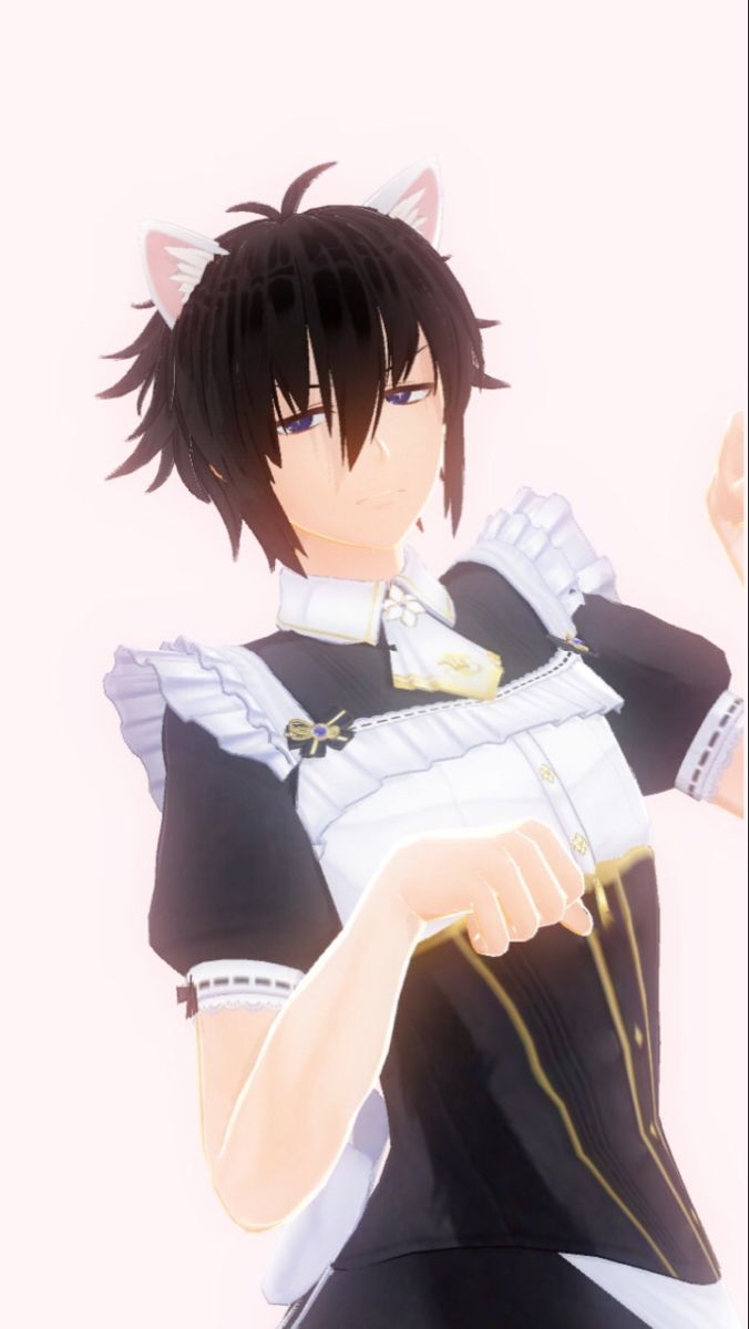 680x1200 cat boy matching pfp. Anime cat boy, Anime maid, Catboy, Phone