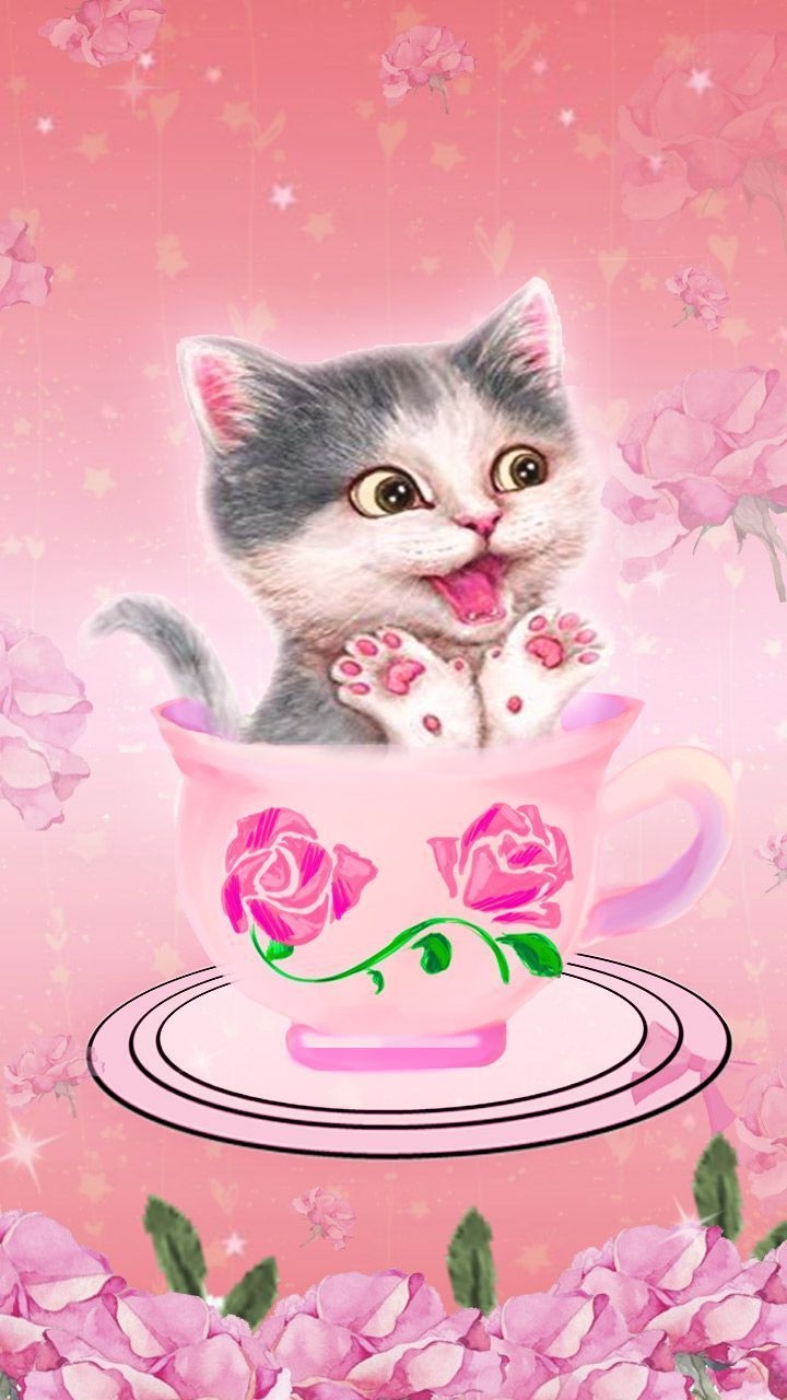 720x1280 Cute cat wallpaper, Cute cats, Phone