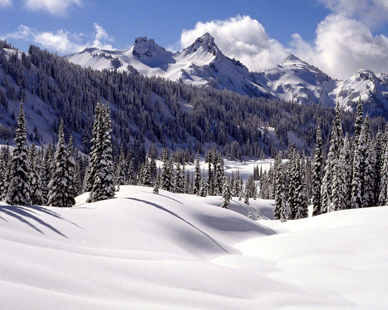 1280x1030 Winter wonderland, Dreamy Snow Scene wallpaper  NO.30, Desktop