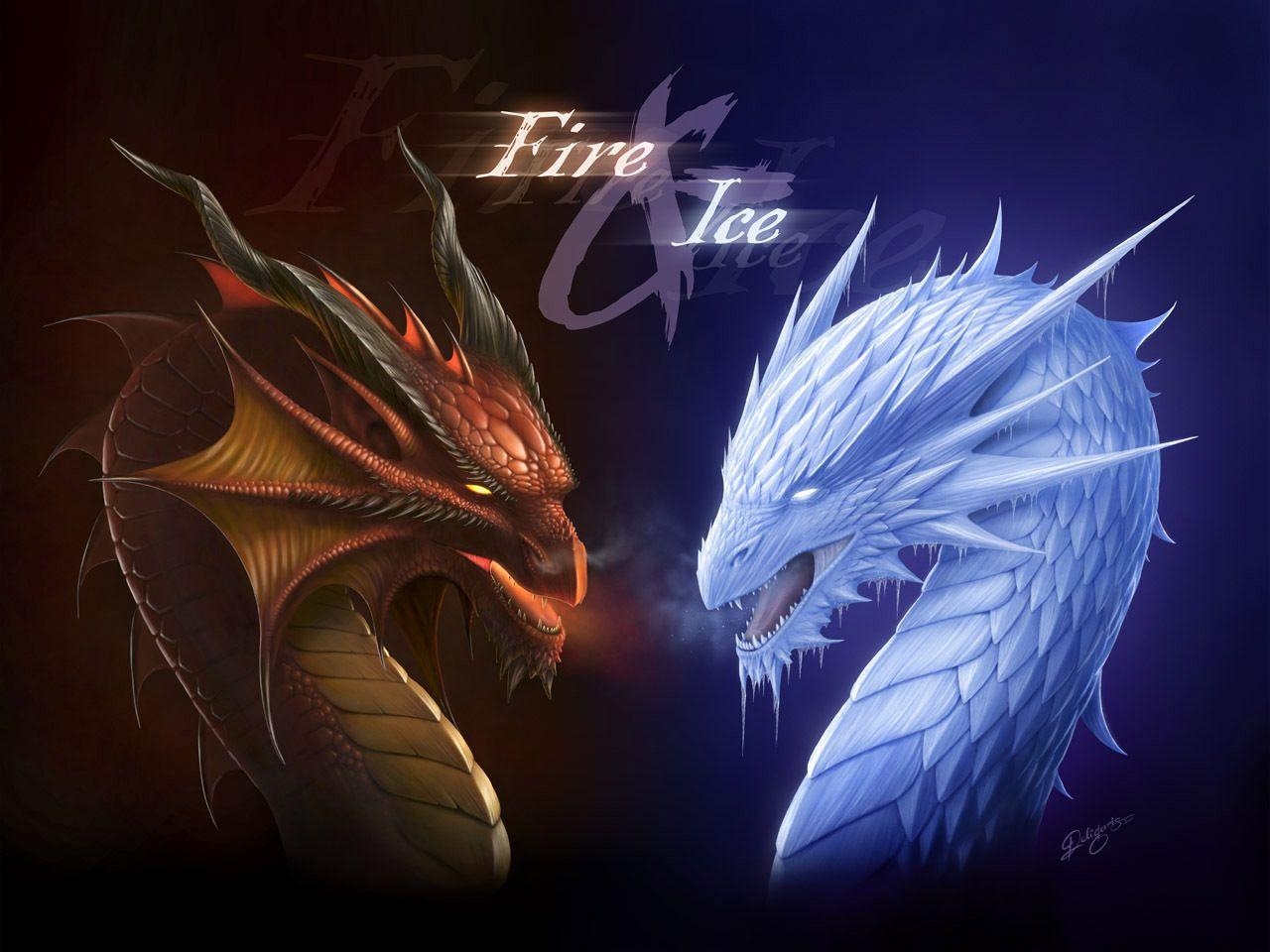 1280x960 Fire and Ice Dragons image Fire and Ice Dragons HD wallpaper, Desktop