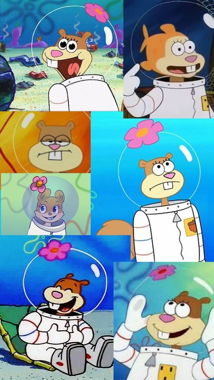 720x1280 Download Sandy Cheeks wallpaper by RubyLeyva now. Browse millions of popular arenita. Spongebob and sandy, Sandy cheeks, Spongebob wallpaper, Phone