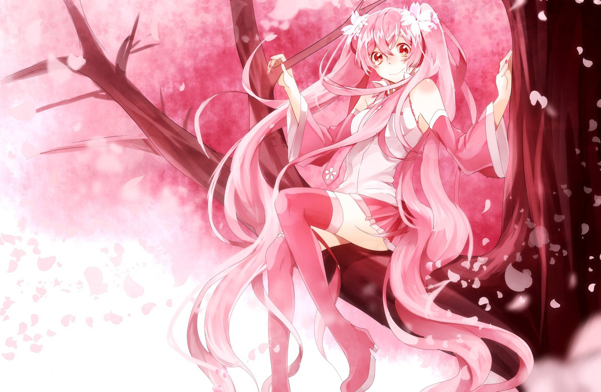 1920x1260 Download Pink Anime Aesthetic Sakura Wallpaper, Desktop