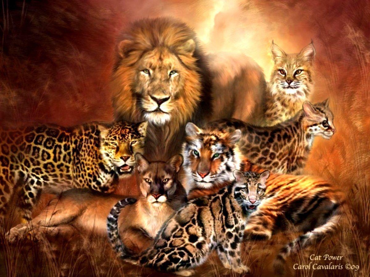 1200x900 Big Cats Animals Wallpaper, Desktop