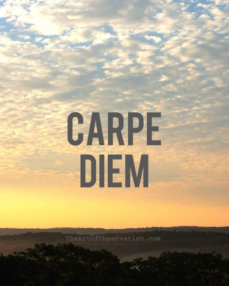 960x1200 Significado do termo Carpe Diem, Phone