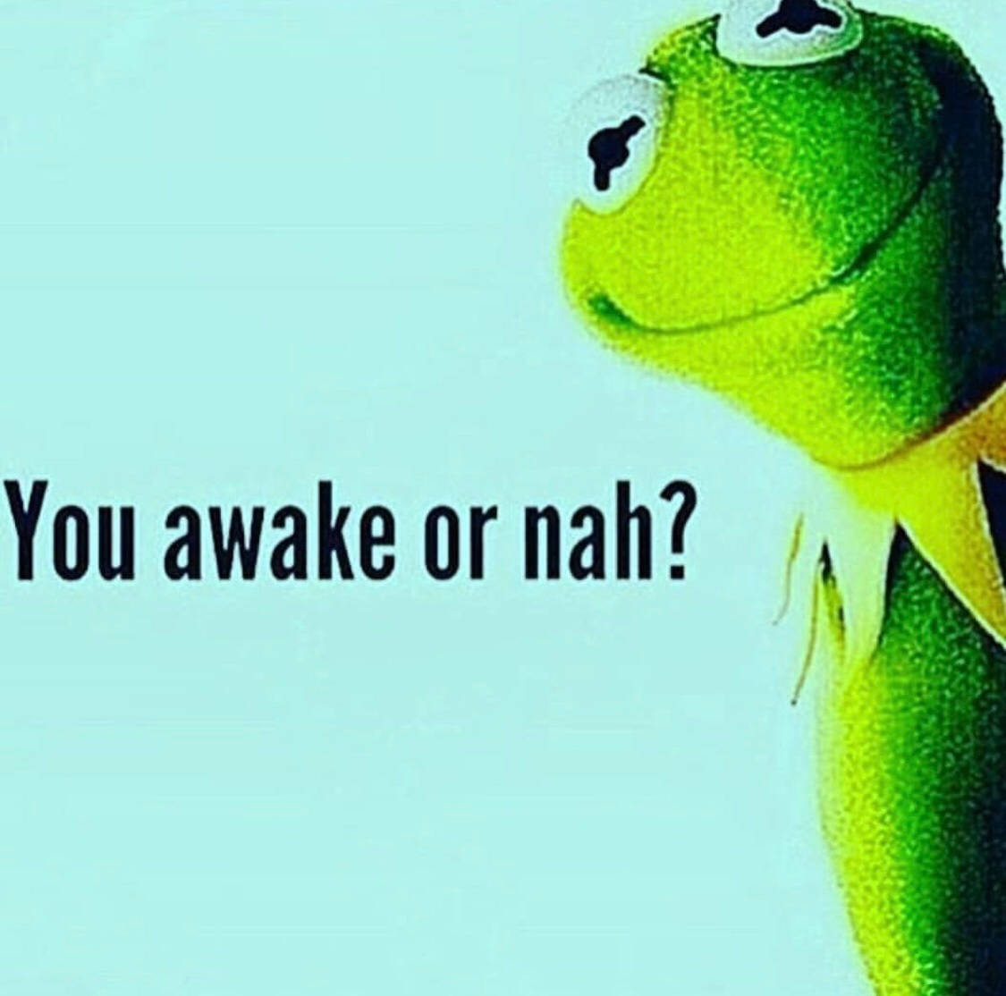 1130x1120 Download Kermit The Frog Awake Wallpaper, Desktop