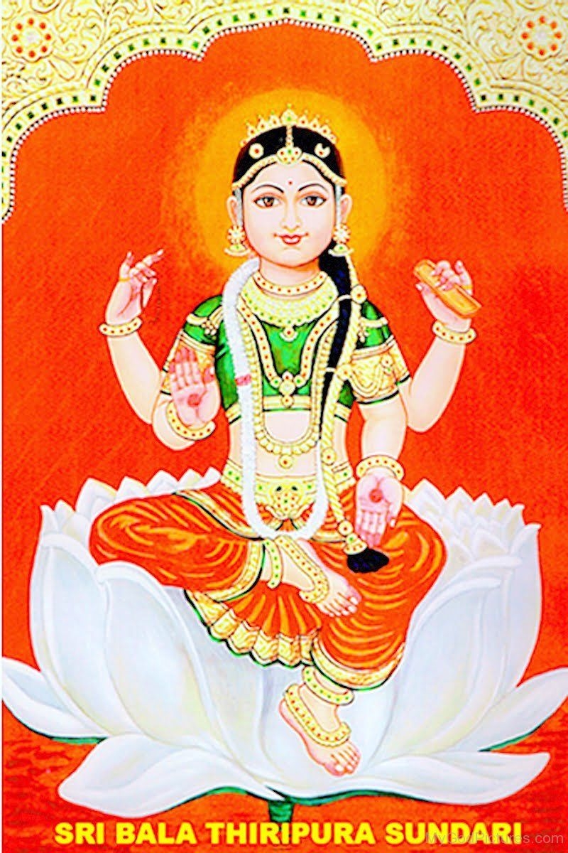 800x1200 Goddess Tripura Sundari Ji, Phone