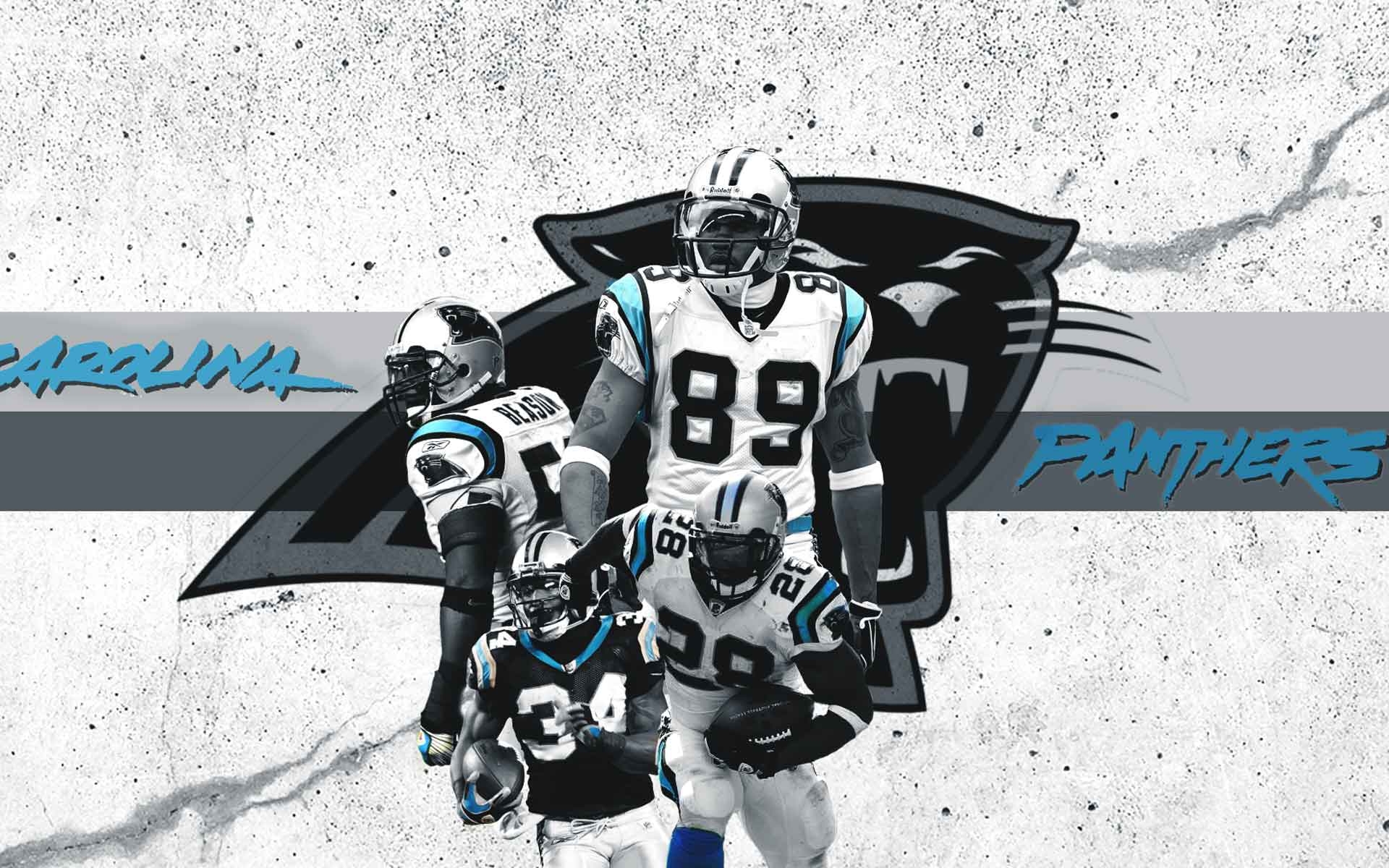 1920x1200 Carolina Panthers Wallpaper HD. Wallpaper, Background, Image, Desktop