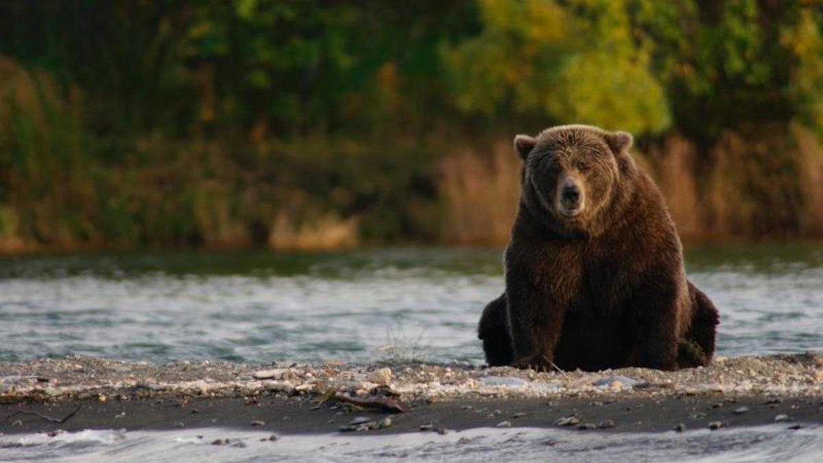 1200x680 Celebrate the National Park Service Centennial with these 100, Desktop