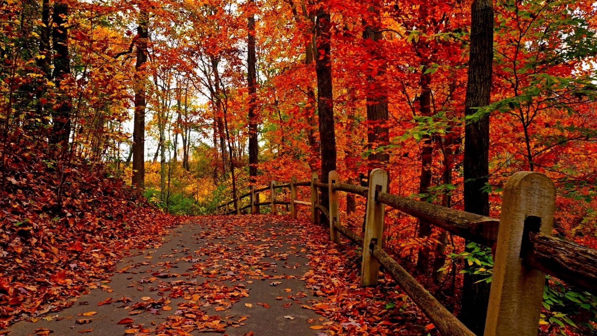 1920x1080 Beautiful Autumn Wallpaper. funmag, Desktop