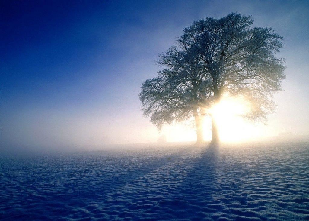 1030x740 Winter Sunrise Wallpaper. Download HD Wallpaper, Desktop