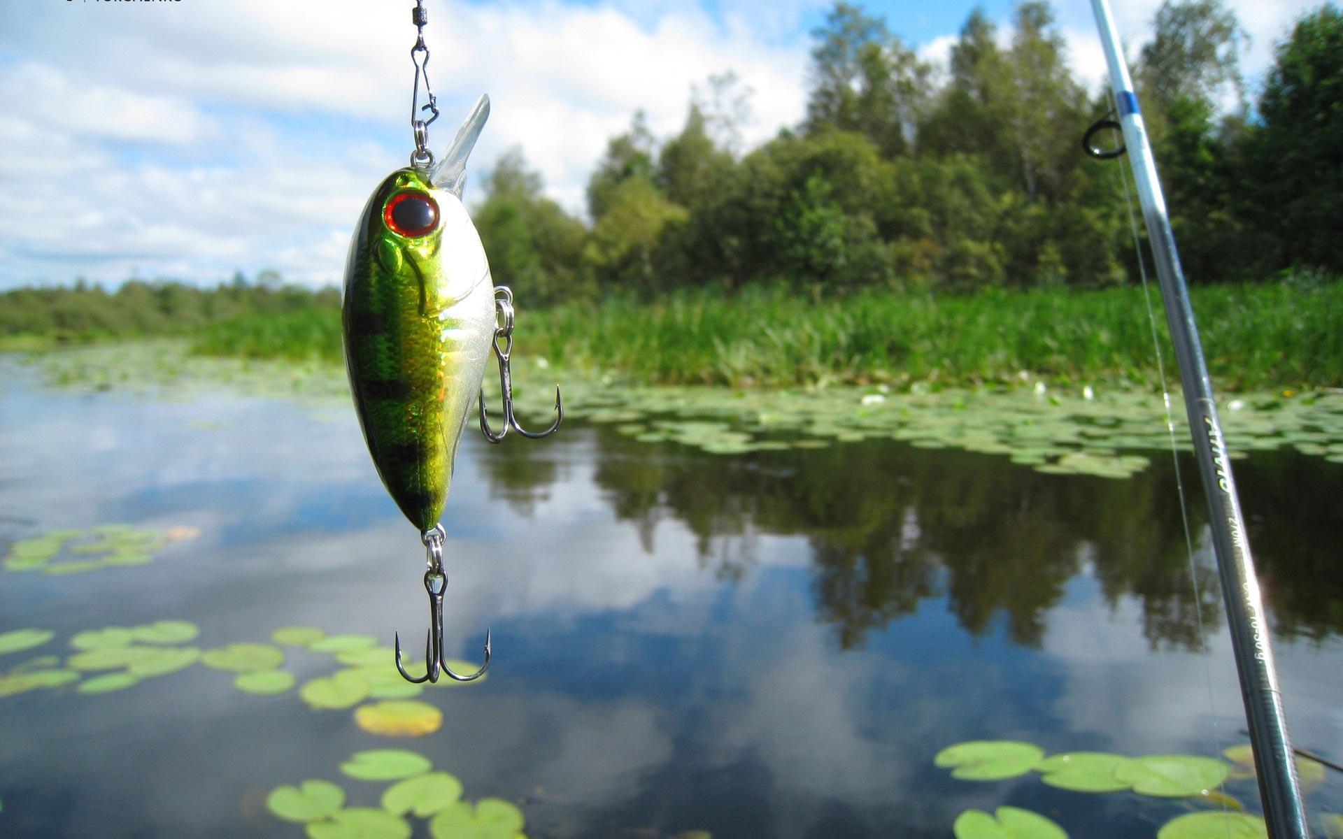 1920x1200 Wallpaper For > Fishing Lure Wallpaper, Desktop