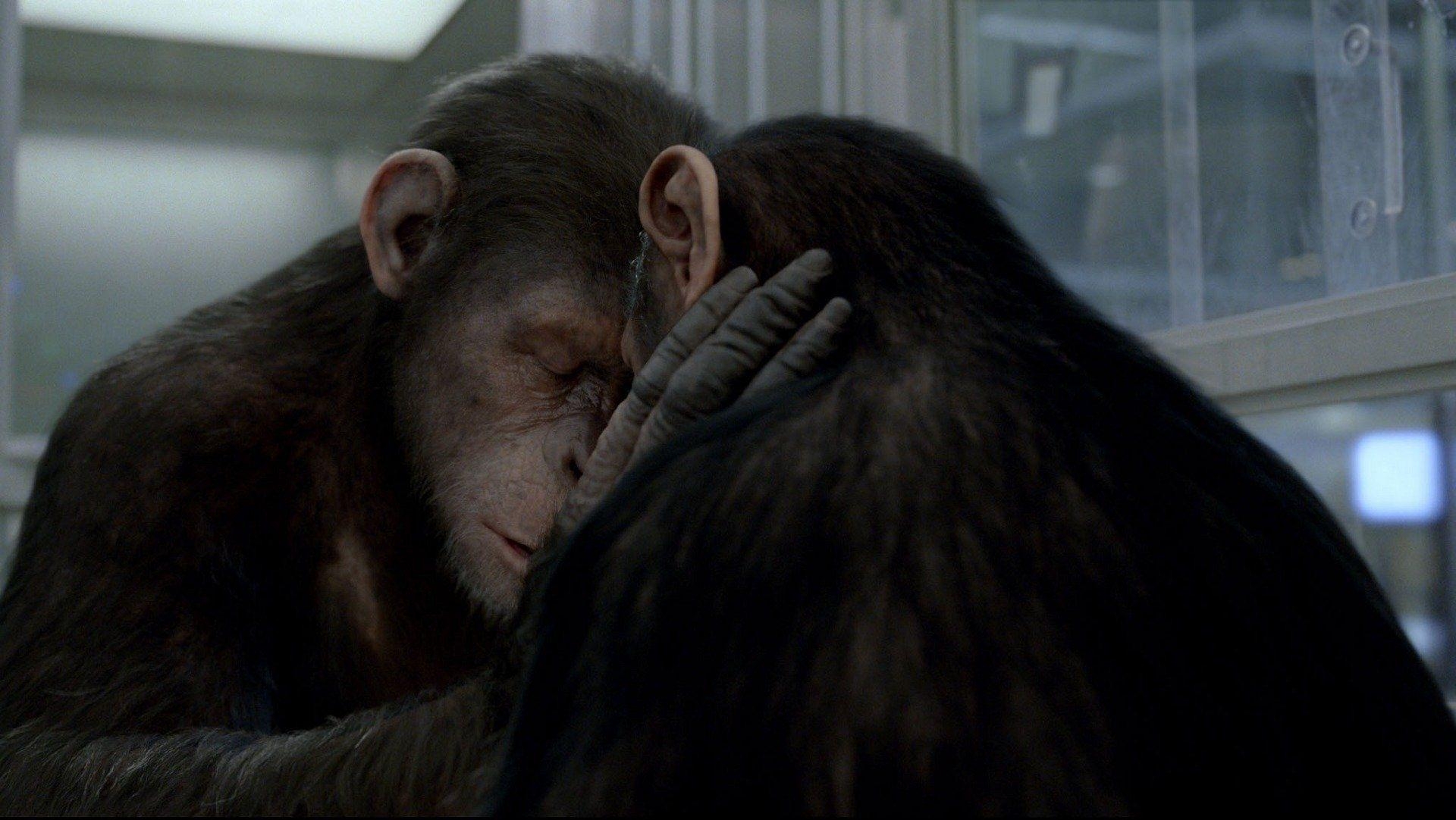 1920x1090 Rise Of The Planet Of The Apes HD Wallpaper. Background, Desktop