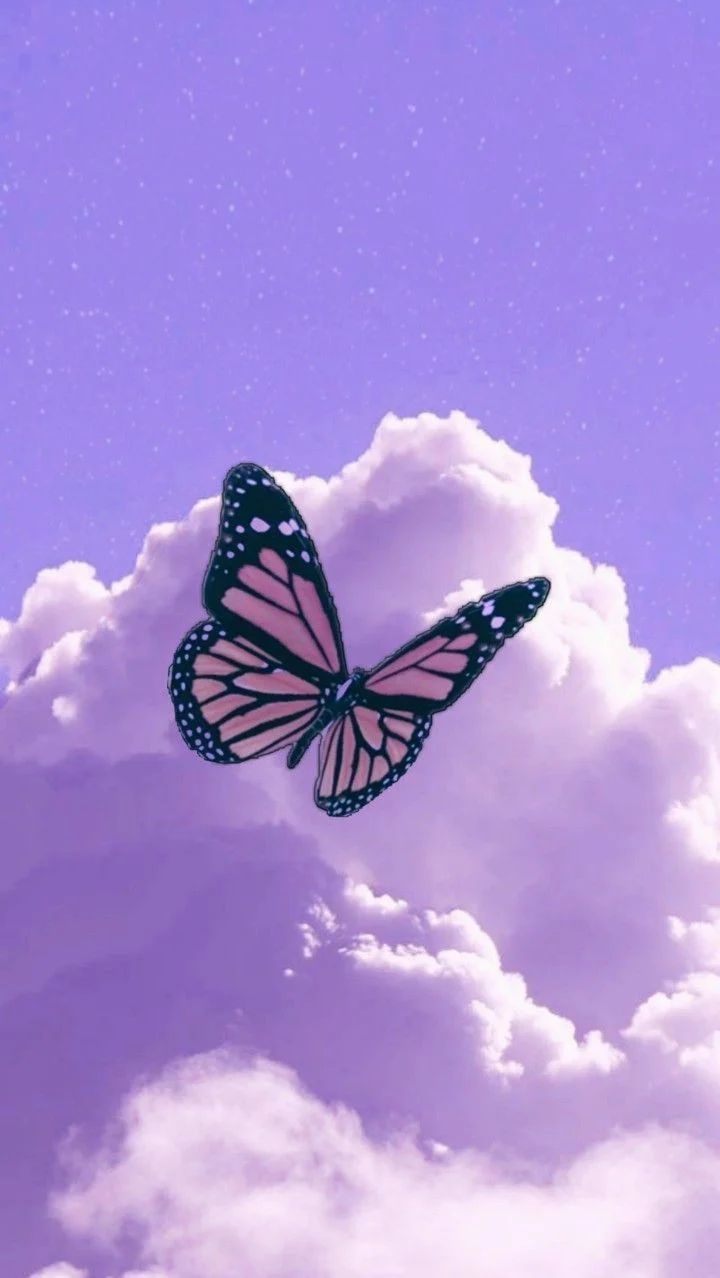 720x1280 Purple butterfly wallpaper, Purple, Phone