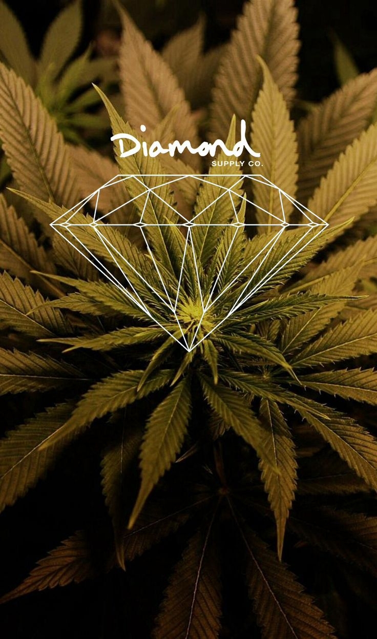 740x1250 Stoner Wallpaper iPhone, Phone