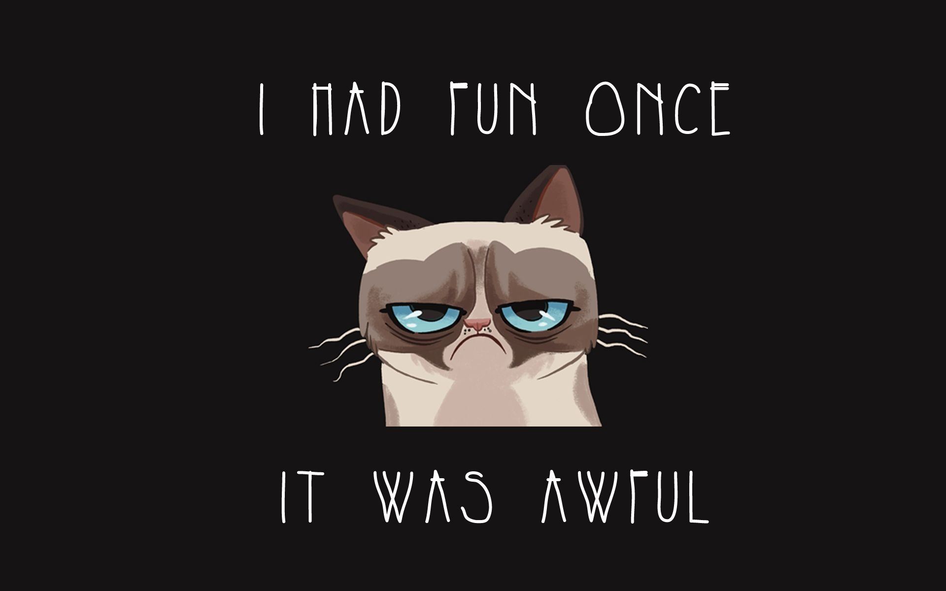 1920x1200 Funny Cartoon Cat 4 Free HD Wallpaper, Desktop